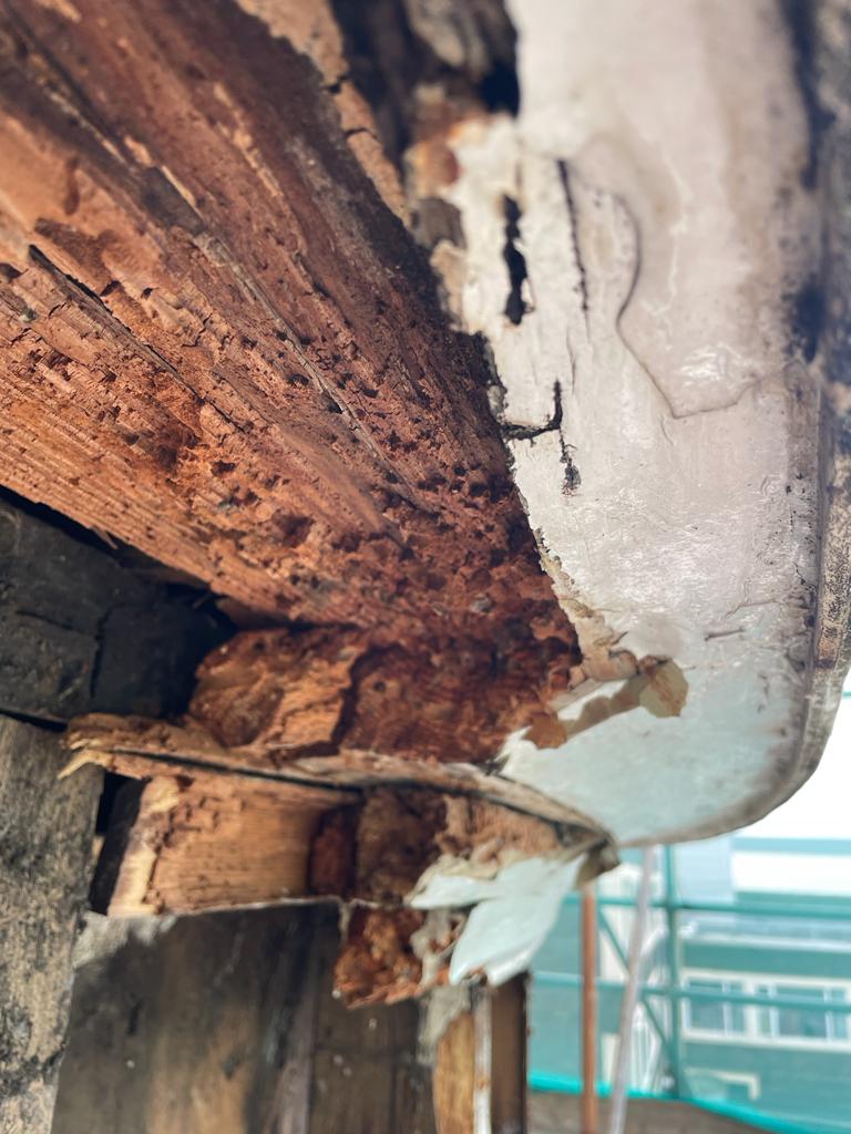 Wykamol Specialist Contractor called into Liverpool University to treat rot and wood wasp problems