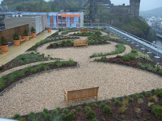 Urbanscape Green Roof
