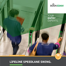 Lifeline Speedlane Swing