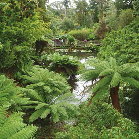 Bespoke Decking For The Lost Gardens Of Heligan