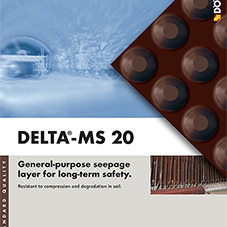Delta-MS20