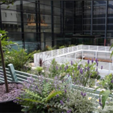 Retrofitting Green Roofs