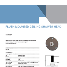 SH07-047 - Flush Mounted Ceiling Shower Head