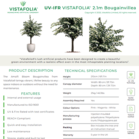 VISTAFOLIA 2.1m Bougainvillea