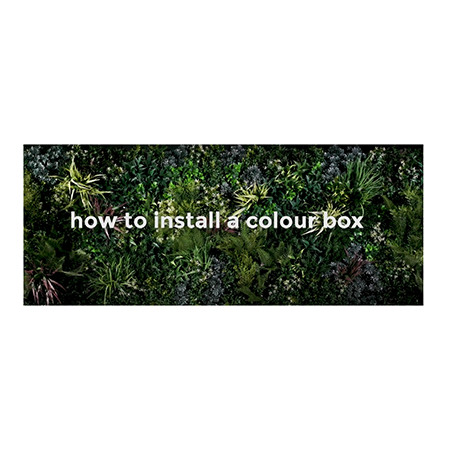 How to Install Artificial Plants from Vistafolia Colour Boxes - a 20 second guide