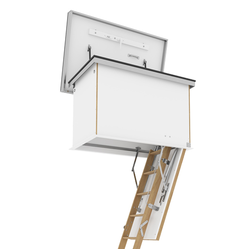 Flat roof access hatch with wooden ladder.