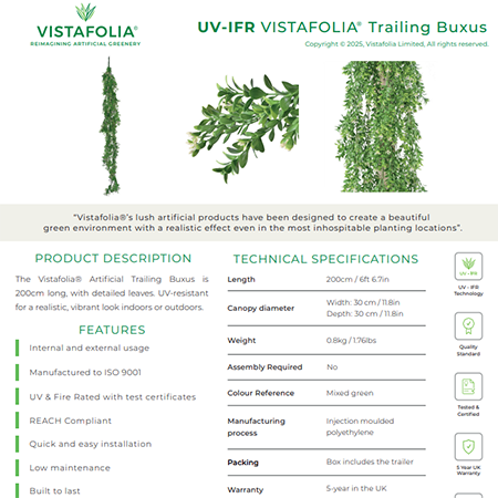 UV-IFR VISTAFOLIA Trailing Buxus