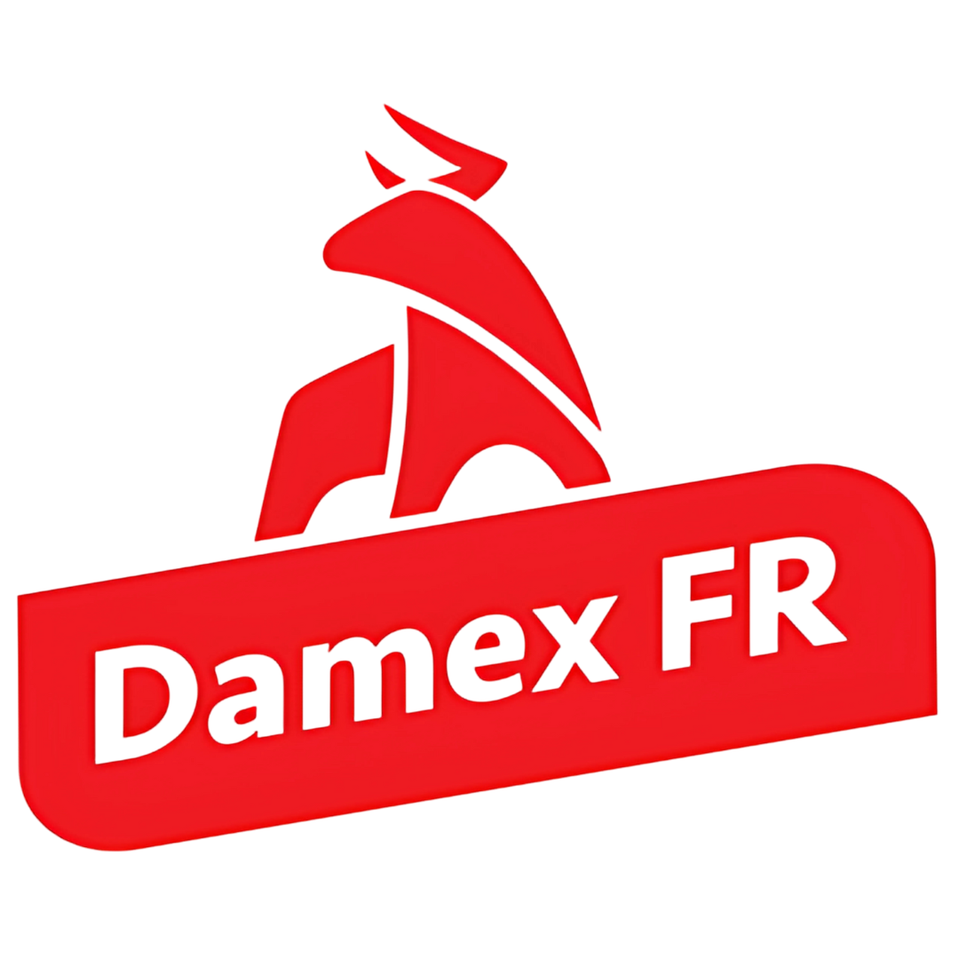 DAMEX FR