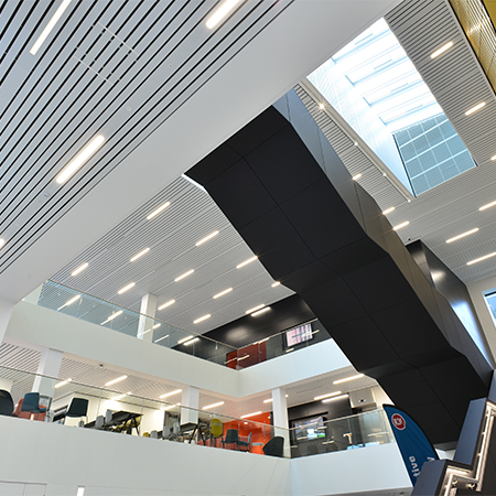 Wall To Wall Ceiling Systems For Laboratory Facility
