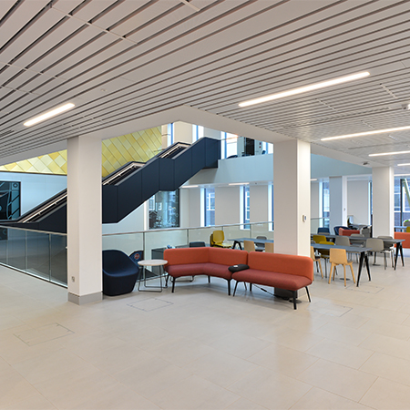 Wall To Wall Ceiling Systems For Laboratory Facility