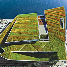 Why choose a Green Roof system?