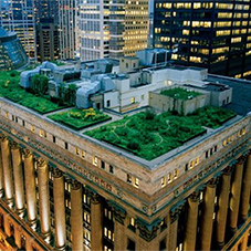 7 amazing green roof designs