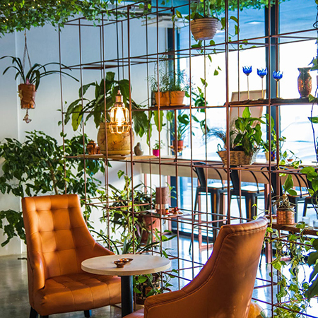 What is biophilic design?