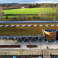 Blackdown green roof for energy-efficient retail store