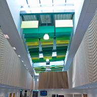 CEO Ceilings Acoustic Baffles at Falmer High School