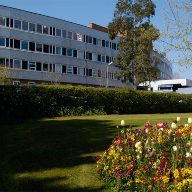 Torbay Hospital, South Devon Healthcare NHS Foundation Trust