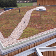 Isola Platon DE25 stores water for Sedum Roof