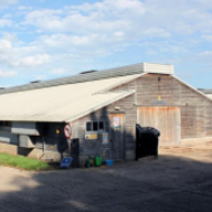 Airius Destratification in a poultry shed application