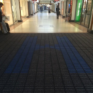 New matting for Harpur Centre