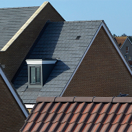 Fenland Pantile continues to thrive