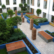 Green roof for Ormeau Bakery