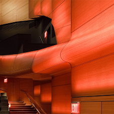 SanFoot Moabi wood veneer at Lincoln Center, New York