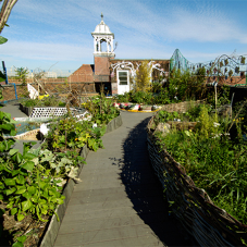 Alumasc products at North Harringay School