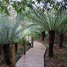 Bespoke decking for The Lost Gardens of Heligan