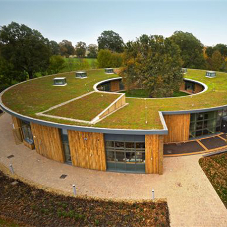 Green roof for The British Horse Society