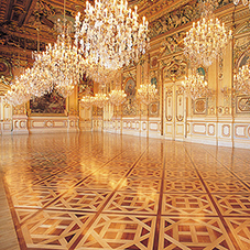 Versailles Parquet Panels in Lyon City Hall