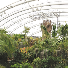 Roofing solution for Chester Zoo's Monsoon Forest