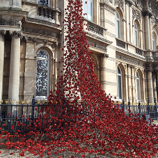 Acrylic floor paint for Poppies Weeping Window