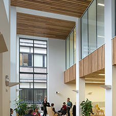 Wood ceiling for University of Newcastle