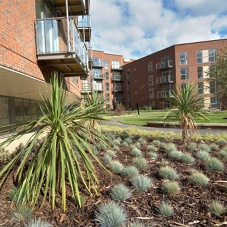 Alumasc Green roof the heart of homes at Walton on Thames