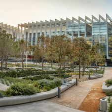 Linear drainage channels for Architects HQ