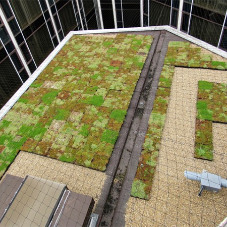 M-Tray® green roof system for Radisson Blu