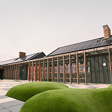 Timber canopy for Ysgol Pen Rhos