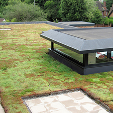 M-Tray® green roof meets deadlines in Wimbledon