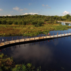 Gripsure decking at Shannon Blueway trails