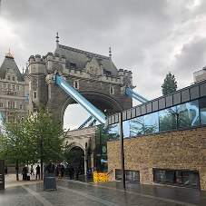 Damp proofing the Iconic Tower Bridge with Newton