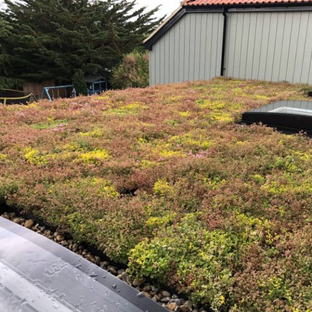 Sustainable M-Trays® create green roof for Whitstable home