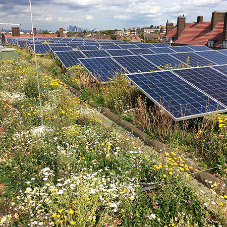 Sustainable & affordable housing completed with Bauder BioSOLAR roofing