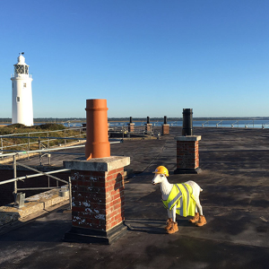 5,000 tonnes of IKO Permaphalt Roofing overhaul to heritage building