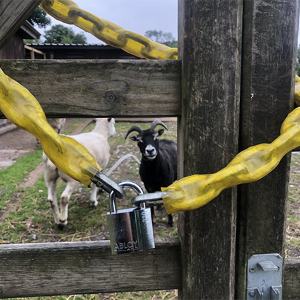 Abloy donates padlocks after animal thefts