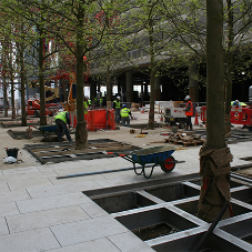 Shouting from the tree tops: The benefits of Tree Pits