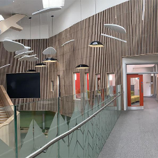 Acoustic Products installed at the Royal Academy for Deaf Education