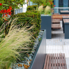 Bailey Streetscene introduces the Inspira modular planting range