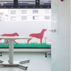 Veterinary practice creates a cosy atmosphere with Altro