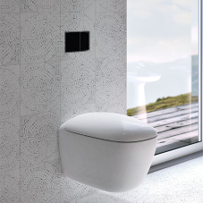 Enhancing washrooms with wall-hung technology