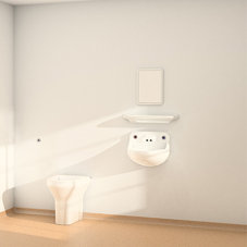 Ligature resistant safe ensuite shelf